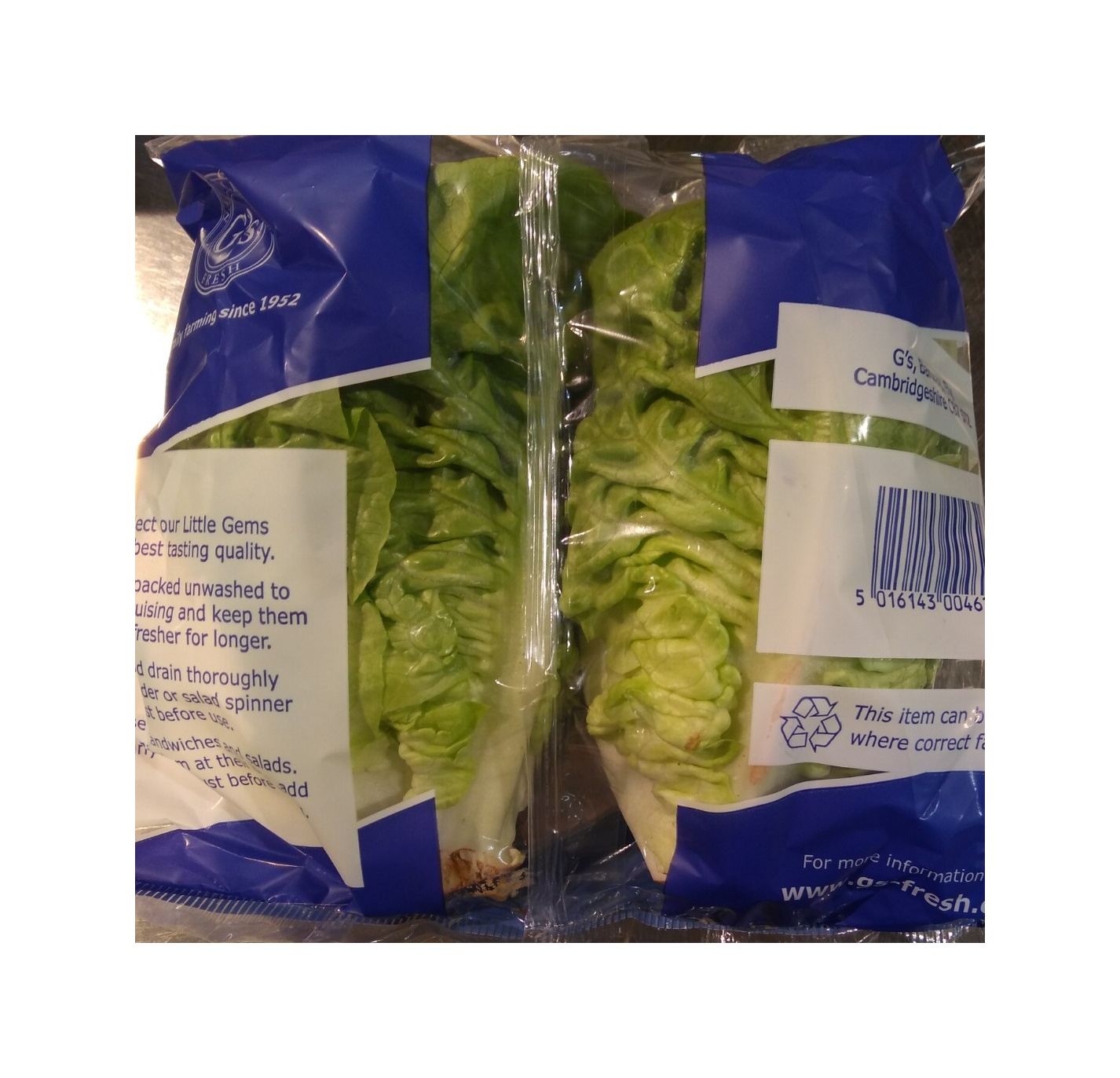 Salát Little Gem BIO 2ks