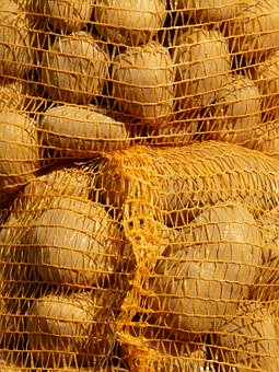 Brambory pozdní žluté typ C 10 Kg