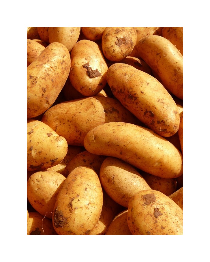 Brambory na salát rohlíčky A vánoční 2 Kg