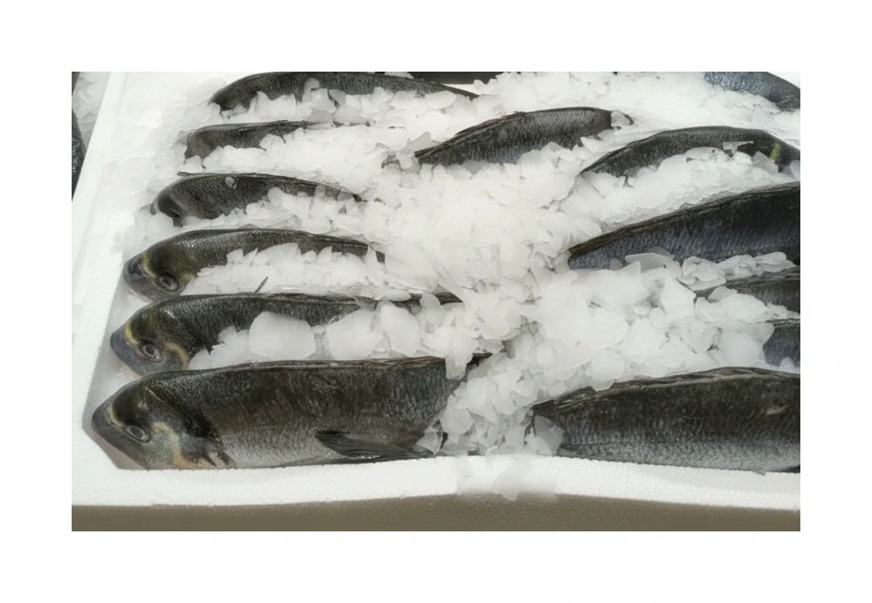 Pražma Královská chlazená cca 500 g