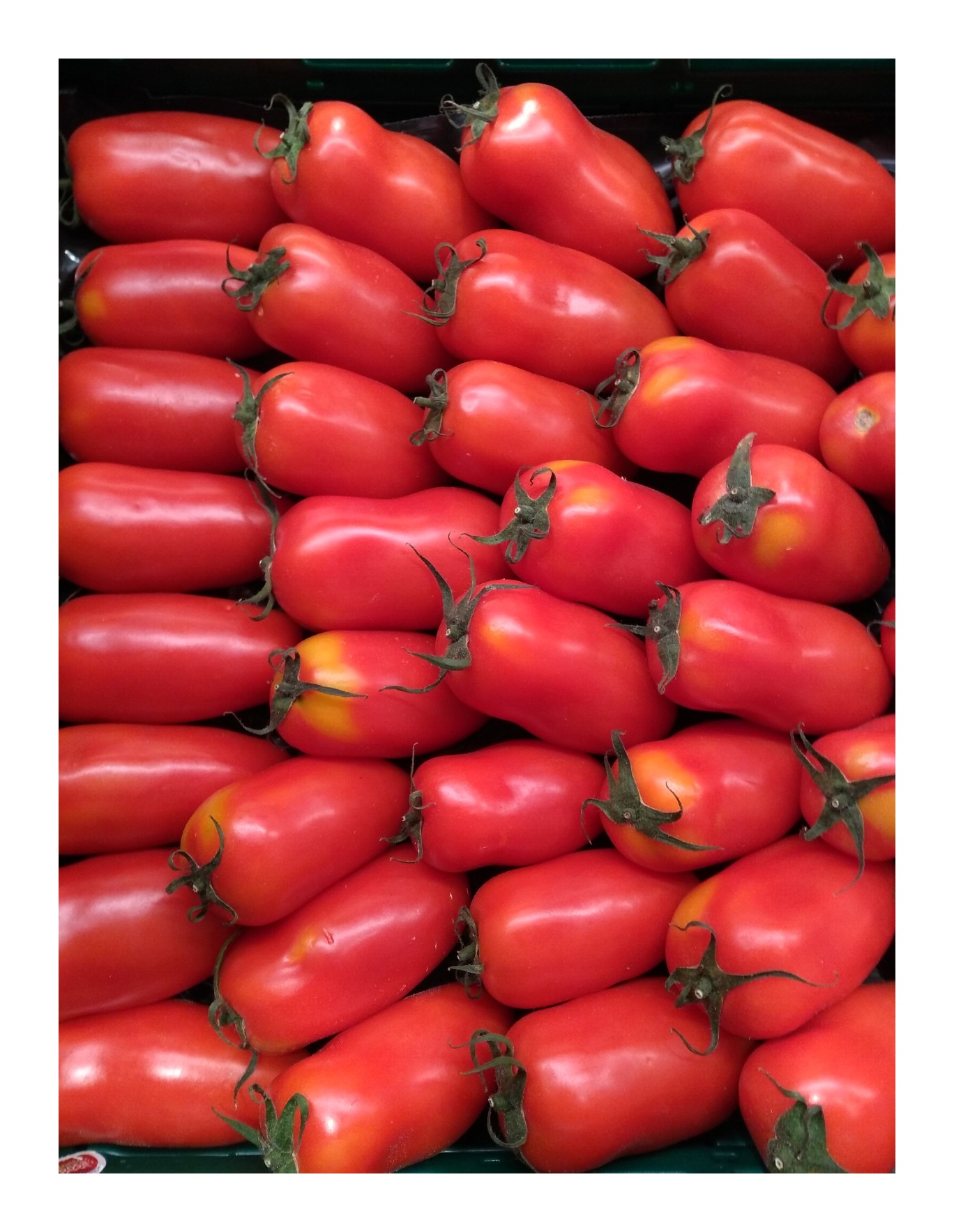 Rajčata San Marzano 0,5kg