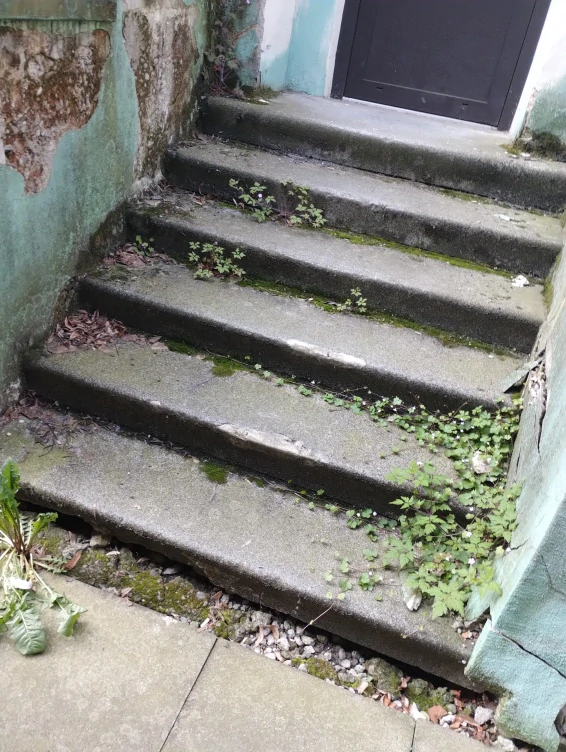 Čištění ploch od trávy , čistění dvorů  1 m2