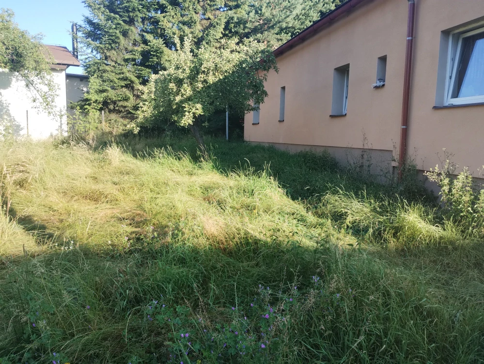 Vysekání zanedbaných zahrad a ploch 1 m2