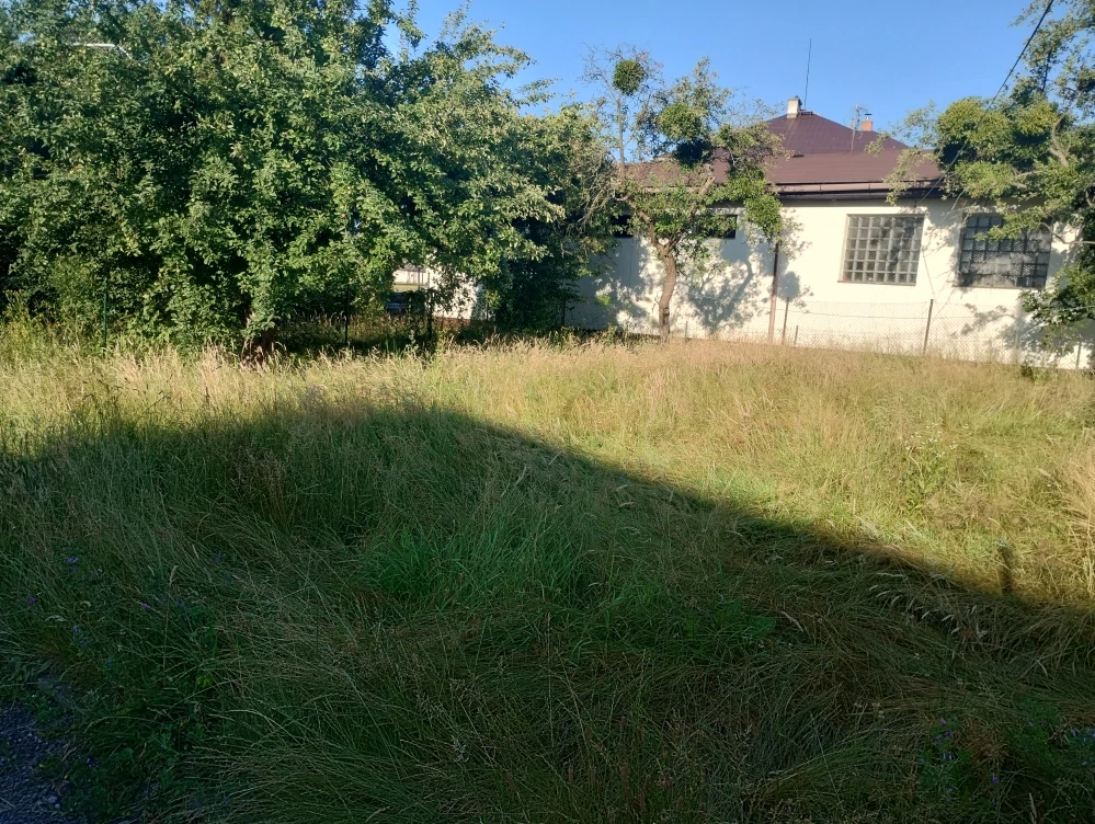 Vysekání zanedbaných zahrad a ploch 1 m2