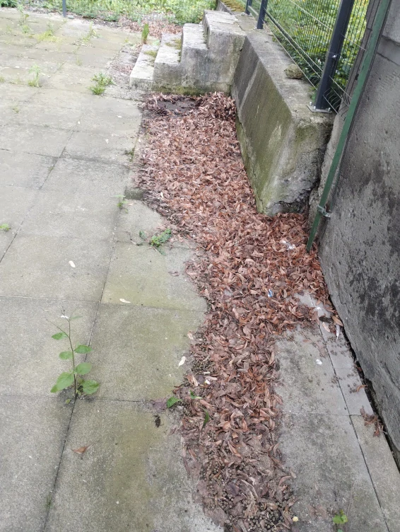 Čištění ploch od trávy , čistění dvorů  1 m2