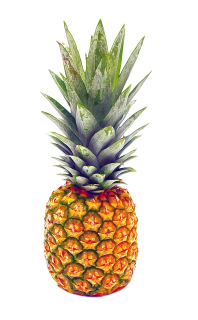 Ananas extra sweet (malý) cca 1 kg