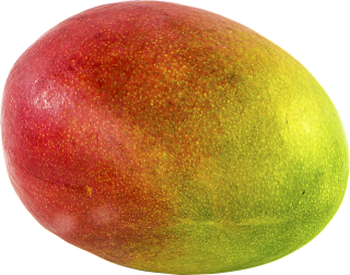 Mango ready to Eat 1 ks