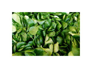 Polníček balený 125g