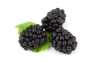 Ostružiny vanička 125g 