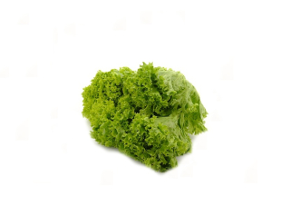 Salát Crispy zelený 1ks