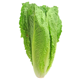 Římský salát 1ks