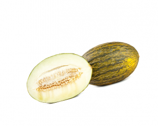 Meloun Piel de Sapo 1ks 