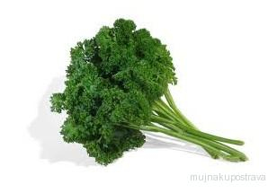 Kudrnka čerstvá květináček  1 ks