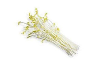 Výhonky chřest 100g