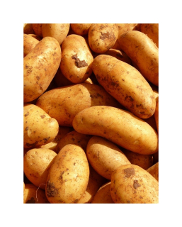 Brambory na salát rohlíčky  A vánoční 2 Kg