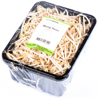 Mungo výhonky dlouhé 0,5kg