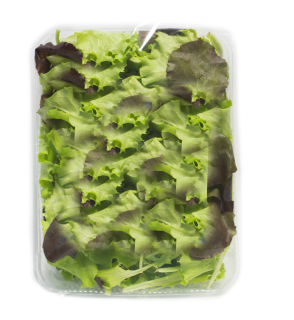 Salát Misticanza čerstvý 125g