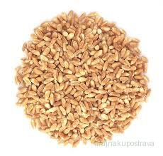 Kroupy střední 0,5 kg