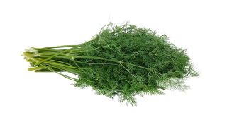 Kopr čerstvý svazek 100g 