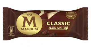 Magnum Classic 110 ml
