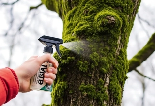 Odstraňování plevele a postřik mechu  1 m2