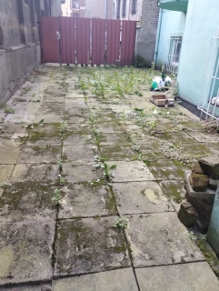 Čištění ploch od trávy , čistění dvorů  1 m2