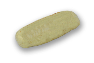 Houskový knedlík ARO 0,55 kg