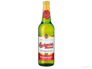 Budějovický Budvar pivo světlé výčepní  0,5l