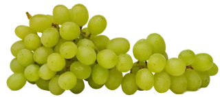 Hroznové víno bílé semenné 0,5kg