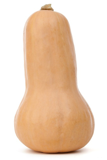 Máslová dýně cca 1,3kg